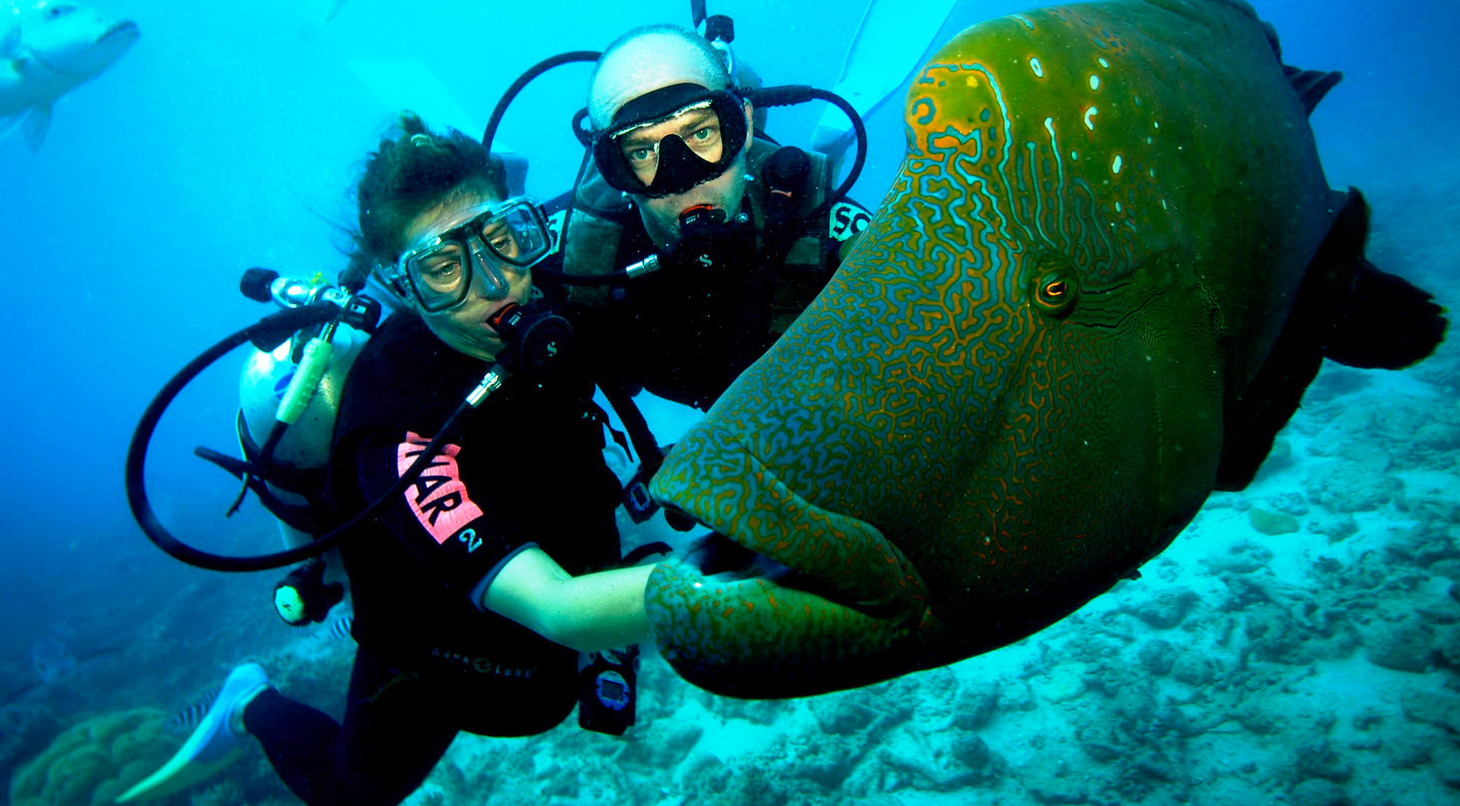 scuba_dive_adventures_04